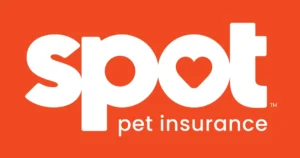 Affordable Pet Insurance